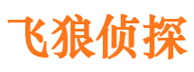 宝清侦探公司